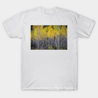 Aspen Forest Autumn Colors T-Shirt